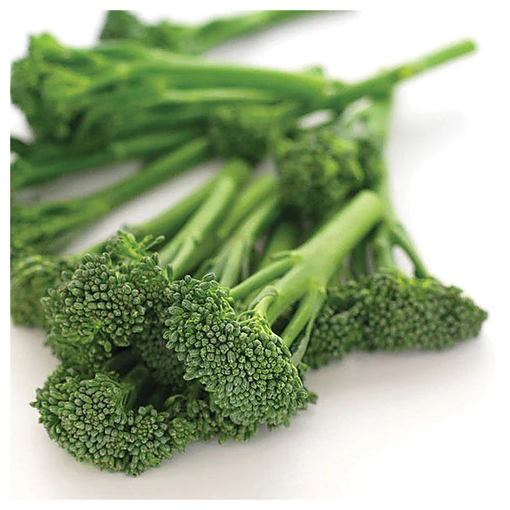 Baby Broccoli Seeds for Planting – Broccolini Aspabroc Hybrid, Heirloom Non-GMO Seeds for Organic Home Gardens | Neera Seeds product photo [neera-v4-71b9afb2e0971f5419b0]