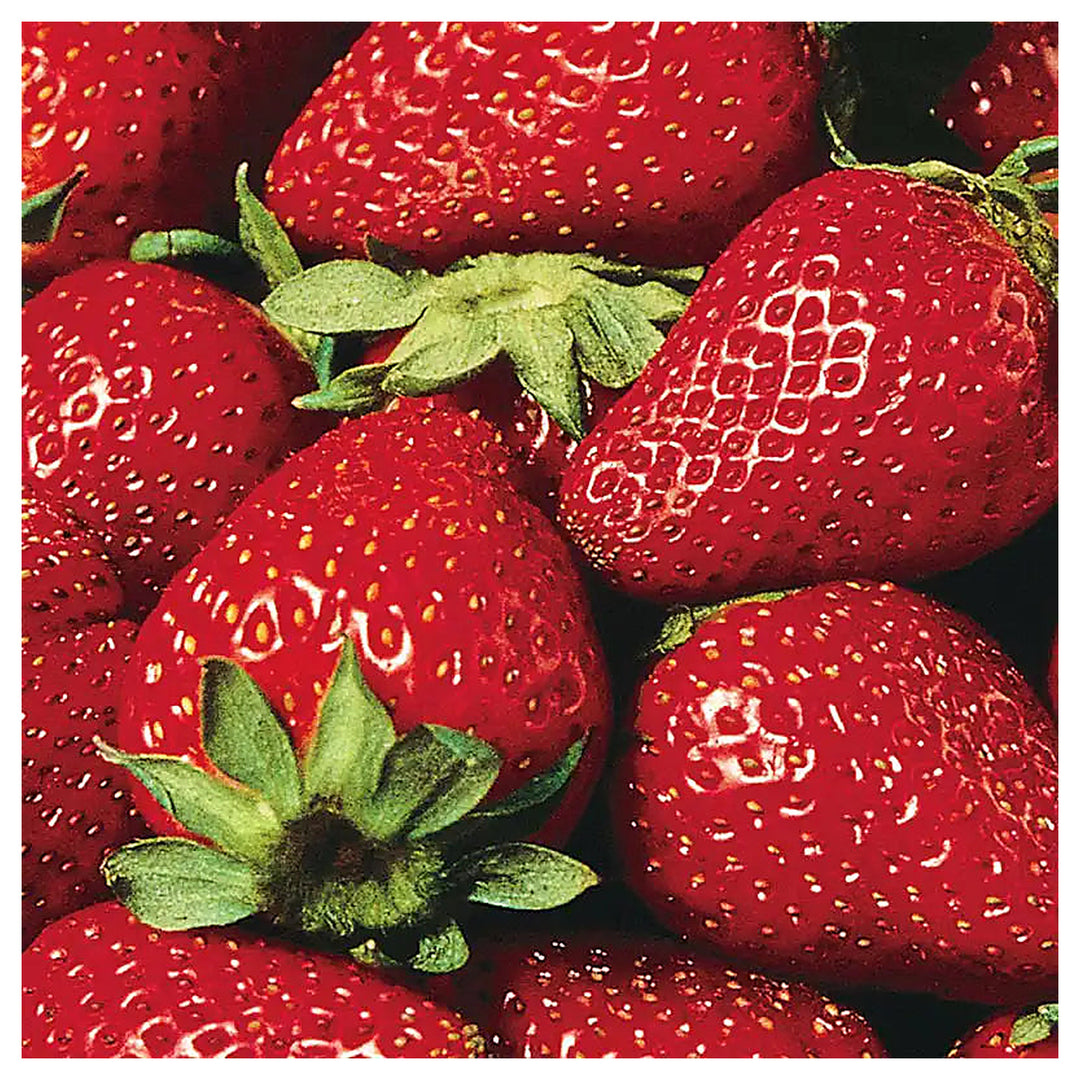 Eversweet Everbearing Strawberry Seeds for Planting - Organic, Heirloom, Non-GMO  seeds for Home Garden | Neera Seeds product photo [neera-v4-735db9f0b85324afe63b]