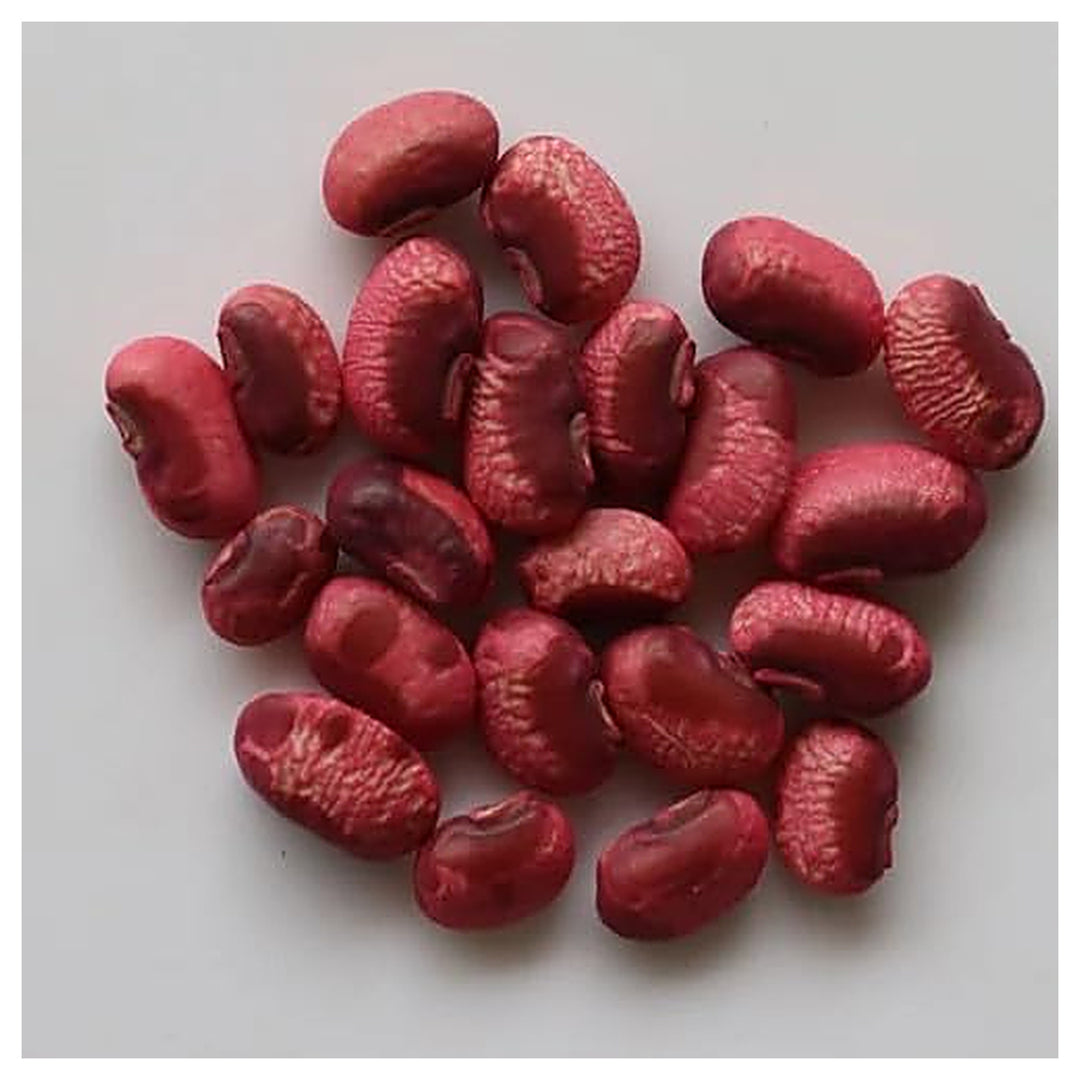 Yardlong Bean Seeds for Planting – High Yield, Fast Growing, Organic Vegetable Seeds | Neera Seeds product photo [neera-v4-73cb84089170046d83fe]