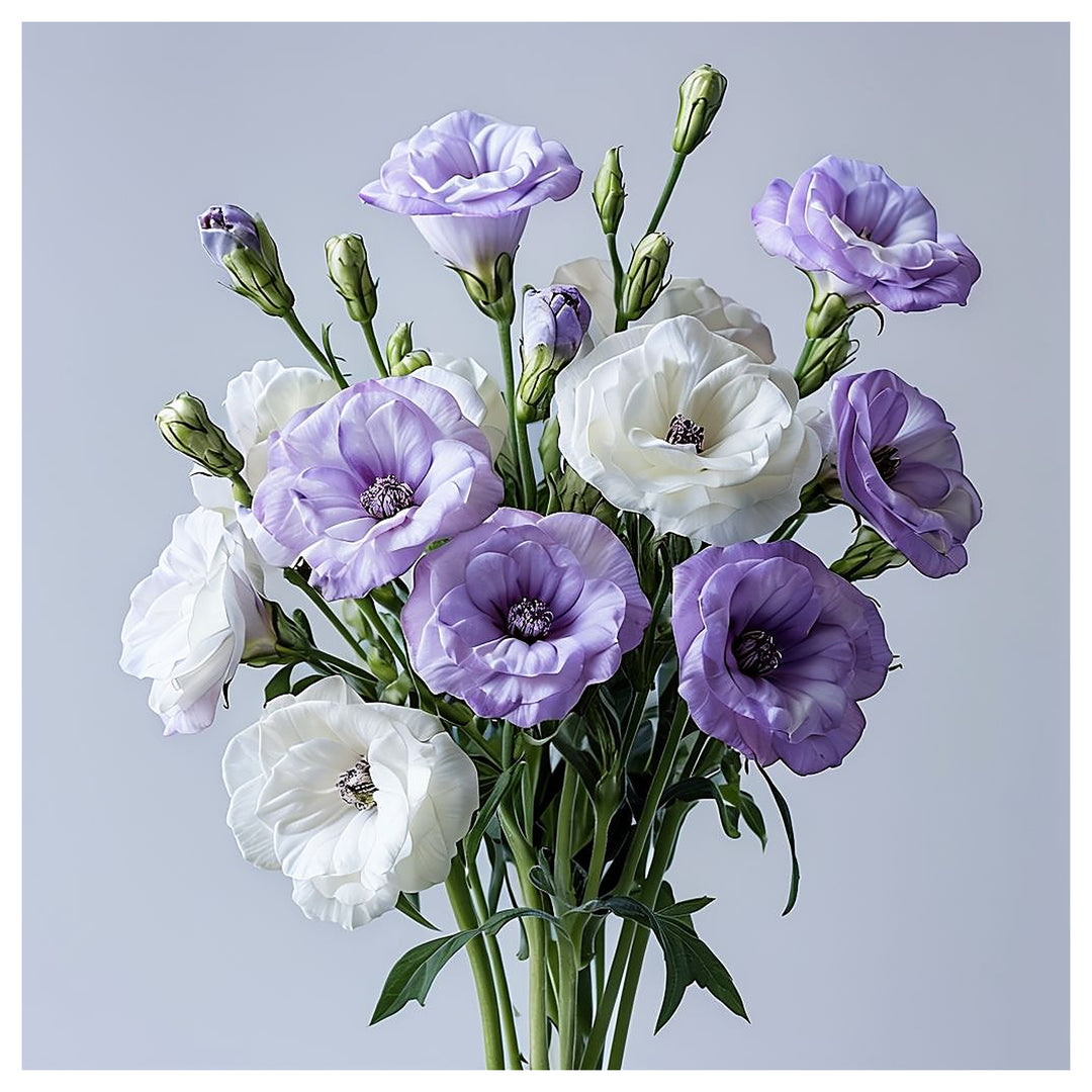 Violet White Eustoma Lisianthus Flower Seeds for Planting – Heirloom, Non-GMO, High Germination Organic Garden Seed | Neera Seeds product photo [neera-v4-74b96ac5d10b64a4caa3]