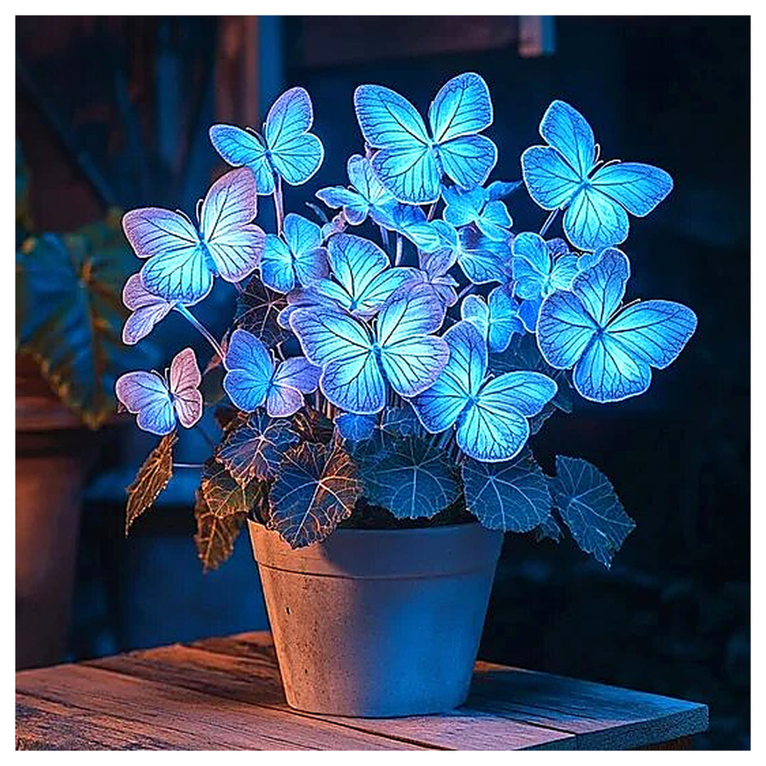 Moonlight Butterfly Begonia Flower Seeds – Heirloom Non-GMO High Germination Seeds | Neera Seeds product photo [neera-v4-74ba2a2752a7d032a4cf]