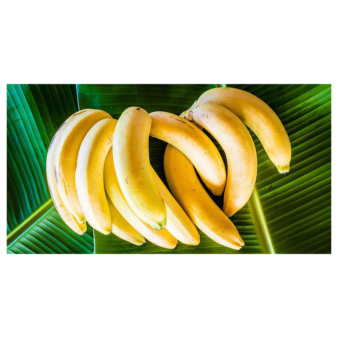 Light Yellow Banana Fruit Seeds for Planting – Heirloom, Non-GMO Seeds for Tropical Garden Bananas | Neera Seeds product photo [neera-v4-774dc1122dff259b67bb]