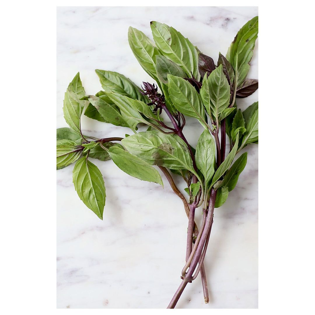 Thai Basil Herb Seeds for Planting – Heirloom, Non-GMO, High Germination Organic Garden Seeds for Culinary Use | Neera Seeds product photo [neera-v4-78c2e33bd83cfb8e2789]