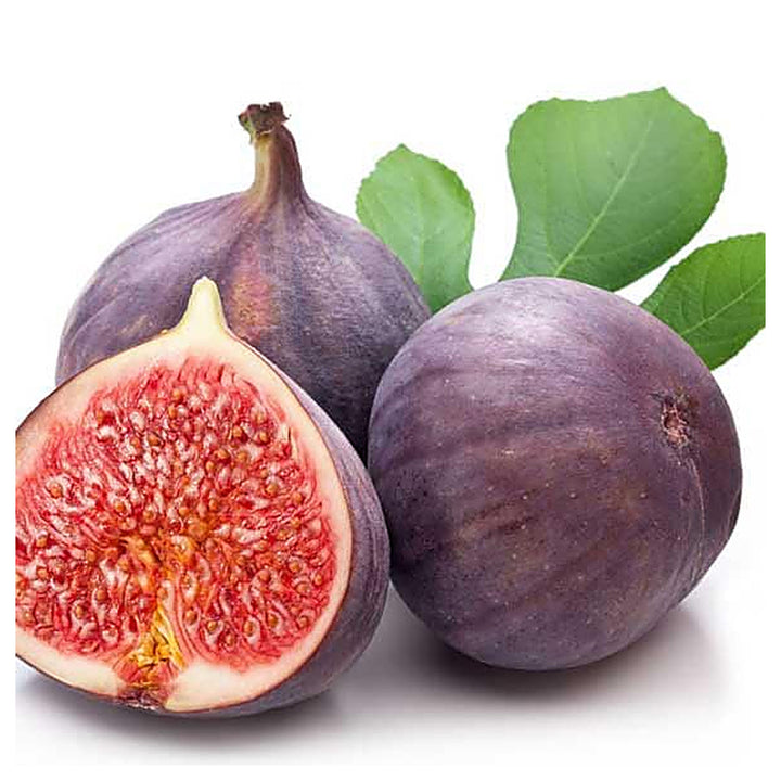 Poona Fig Seeds for Planting – Heirloom, Non-GMO, High Germination Organic Garden Seeds for Sweet, Flavorful Figs | Neera Seeds product photo [neera-v4-78d3b6536c28e7561abb]
