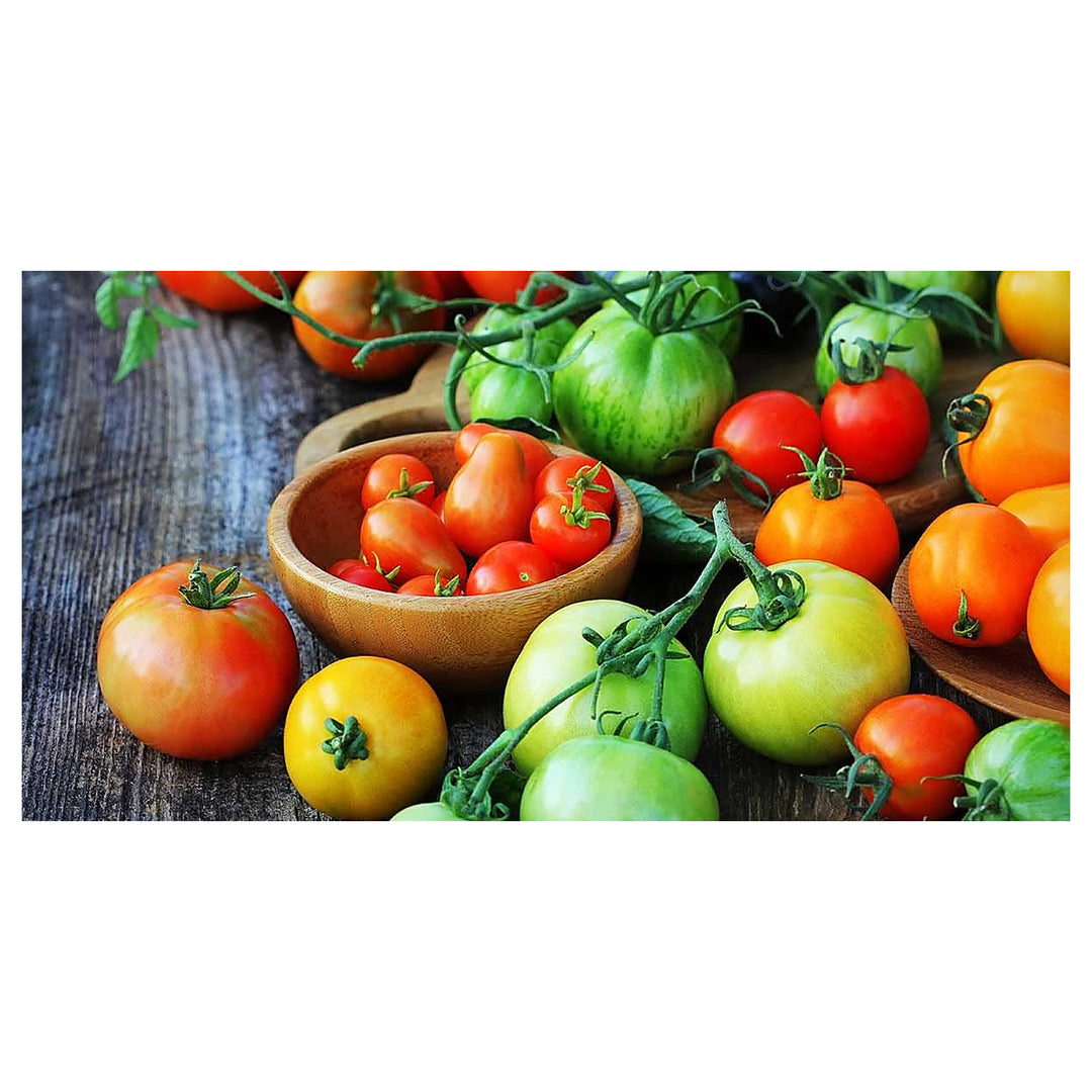 Tomato Vegetable Seeds for Planting - 100 pcs | Neera Seeds product photo [neera-v4-7d7943d43f30898ce643]