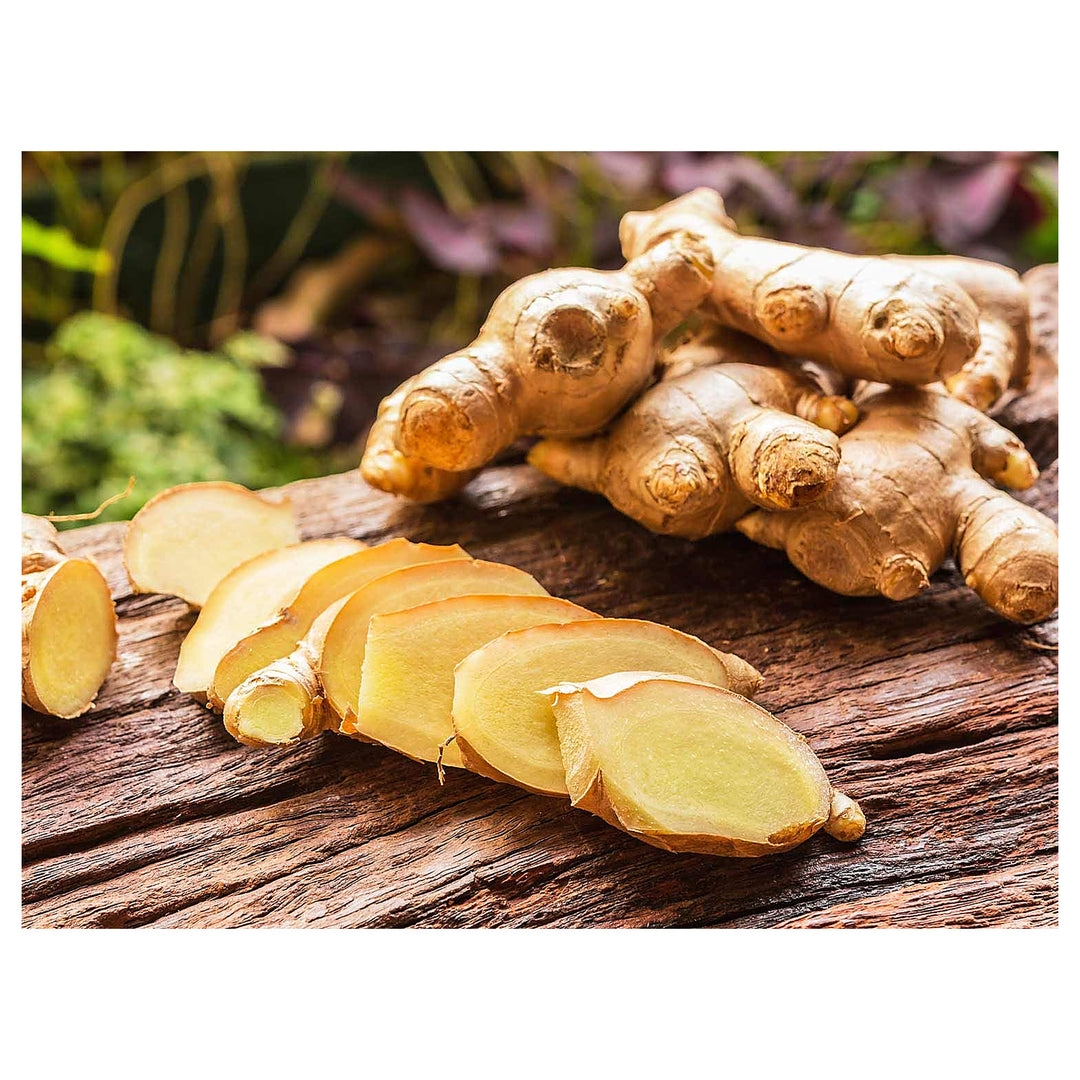 Mixed Perennial Ginger Seeds for Planting – Heirloom, Non-GMO, High Germination Organic Seeds for Edible & Ornament | Neera Seeds product photo [neera-v4-7de550e73c954a1d7fa5]