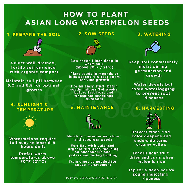 Asian Long Watermelon Seeds for Planting – Heirloom, Non-GMO, Sweet Red Flesh, High-Yield Summer Fruit | Neera Seeds product photo [neera-v4-7e4990caca67082a3456]