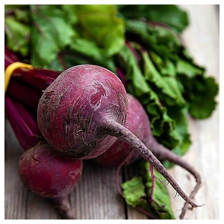 Beetroot Detroit Dark Red Seeds – Heirloom, Fast-Growing, High-Yield Root Vegetable | Neera Seeds product photo [neera-v4-7fb4f9d32c184e1b8ba2]