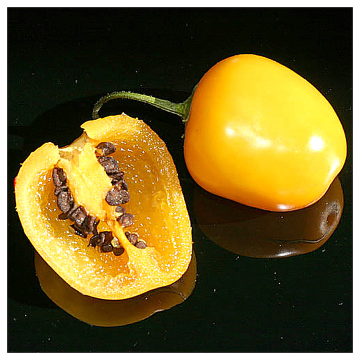 Rocoto Yellow (Rocoto Amarillo) Pepper Seeds – 100 pcs Heirloom, Non-GMO, High Germination Organic Garden Seeds | Neera Seeds product photo [neera-v4-8364516d38e9d9d0be2b]