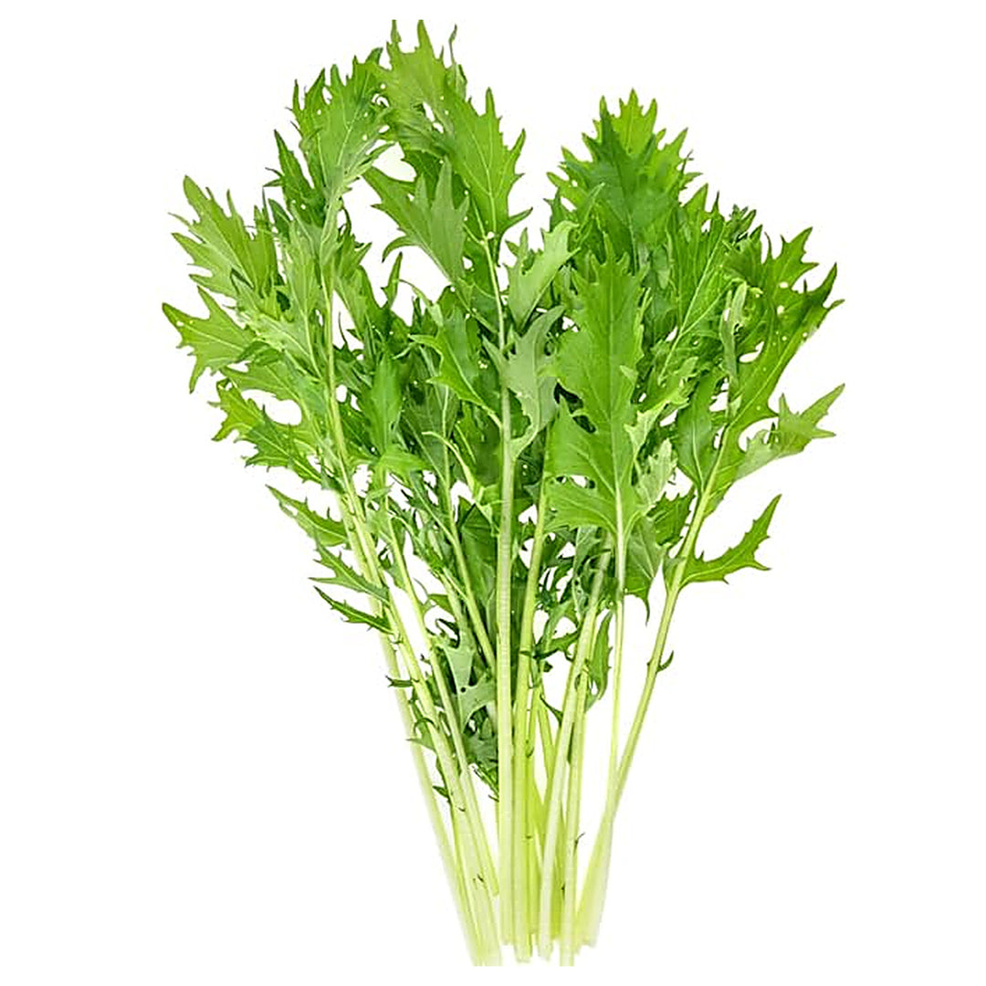 Mizuna Japanese Mustard Greens Seeds – Heirloom, Fast-Growing, Cold Hardy, Asian Leafy Vegetable | Neera Seeds product photo [neera-v4-843f665fc3153bcd358b]