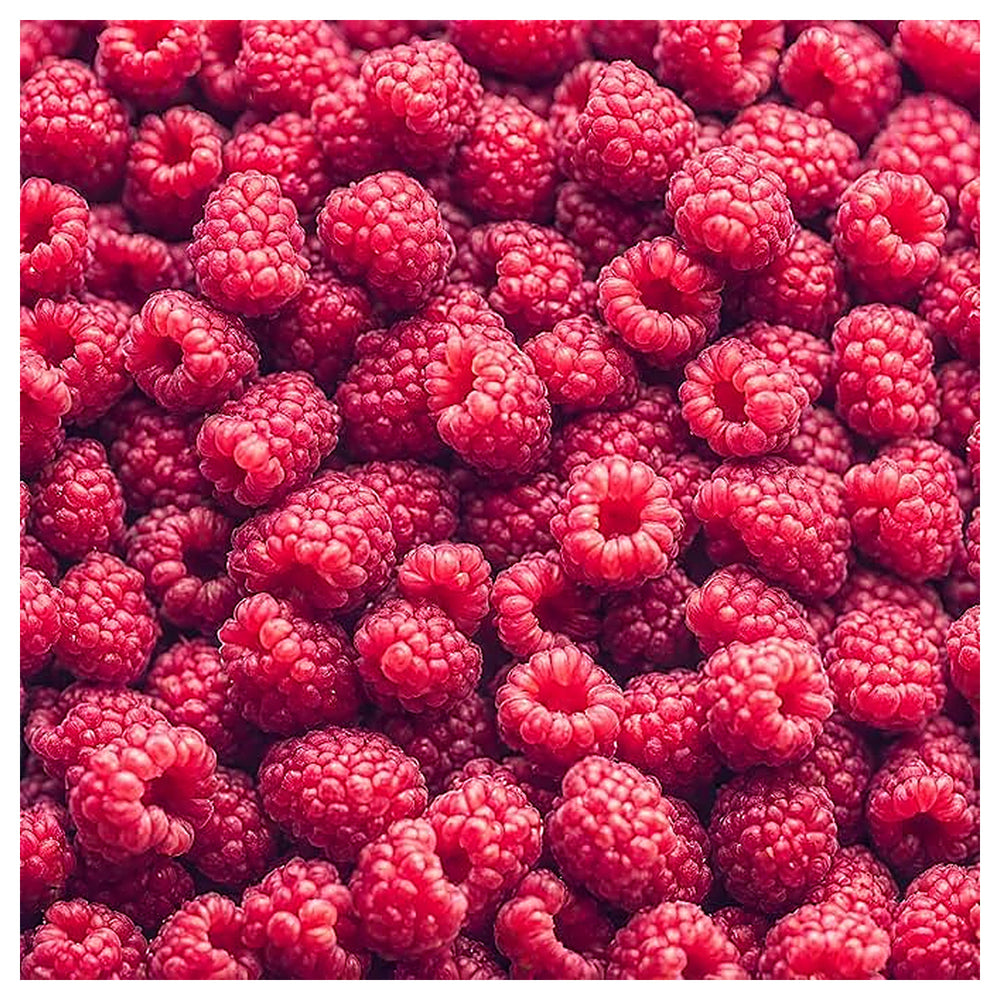Raspberry Heritage Seeds – Heirloom, Non-GMO, High-Yield Fruit for Garden Planting | Neera Seeds product photo [neera-v4-87546fd18088797bfd58]