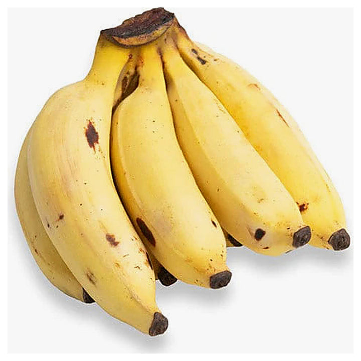 Manzano (Apple Banana) Fruit Seeds for Planting – Sweet Tropical Bananas, Heirloom &amp; Non-GMO, High Germination Seed | Neera Seeds product photo [neera-v4-8809a4d83fd39bc92695]