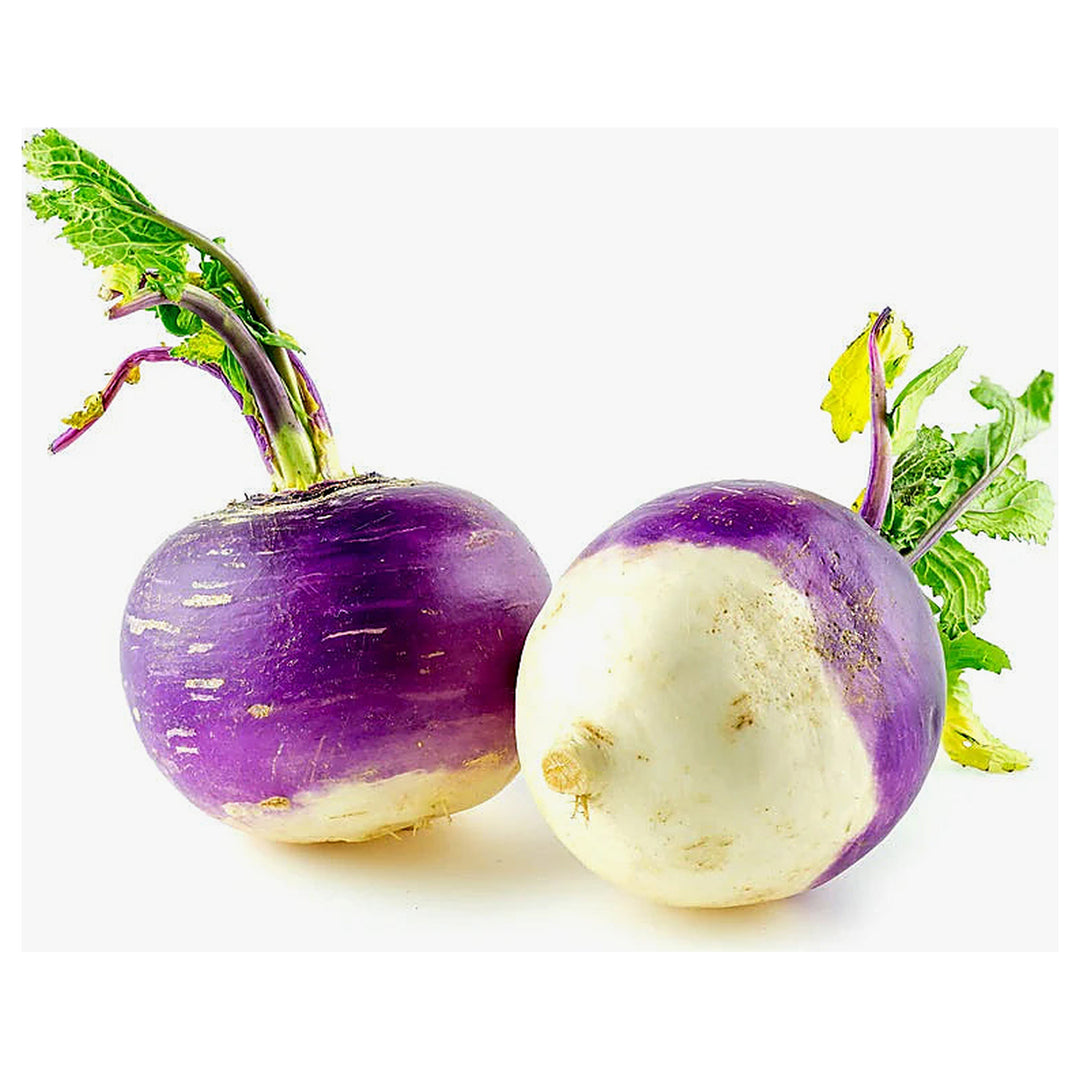 Rutabaga American Purple Seeds – Heirloom, High-Yield Root Vegetable for Home Gardens | Neera Seeds product photo [neera-v4-89e838cf5c8cb65a0f25]