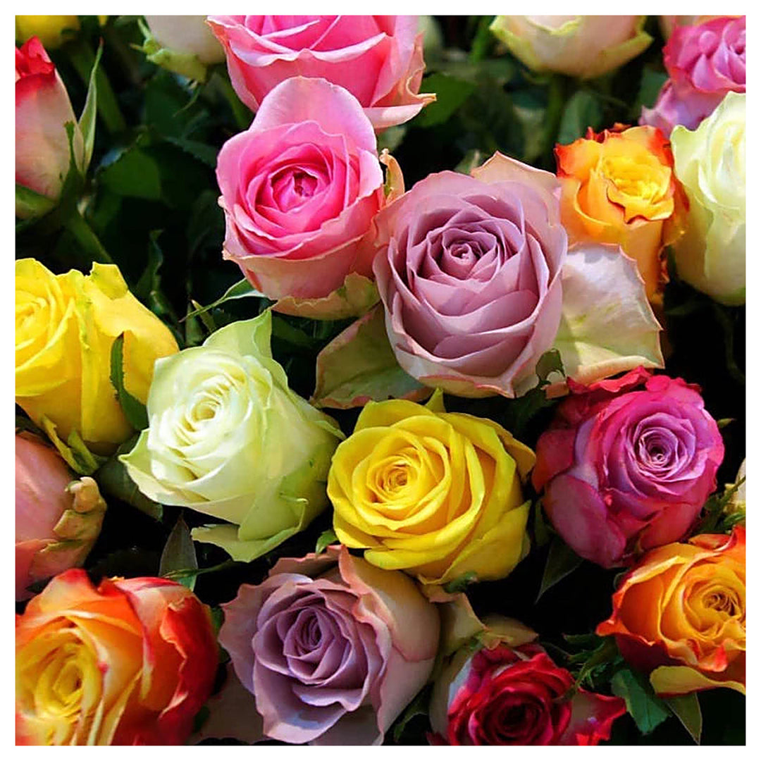 Rose Tree Flower Seeds for Planting – Non-GMO, Heirloom Garden Seeds for Vibrant Growth, High Germination | Neera Seeds product photo [neera-v4-8a196df11e9378b9c6be]