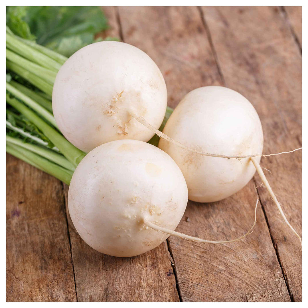 Turnip Shogoin Vegetable Seeds for Planting – Heirloom, Non-GMO, High Germination Organic Garden Seeds | Neera Seeds product photo [neera-v4-8b1a318f897120d1fb06]