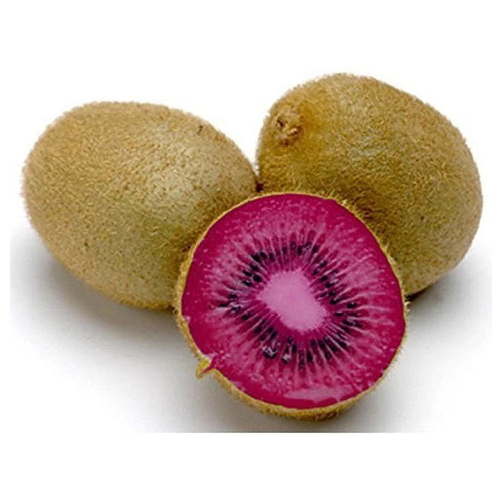 Pink Kiwi Fruit Seeds for Planting – Heirloom, Non-GMO, High Germination Organic Garden Seeds for Hardy, Self-Ferti | Neera Seeds product photo [neera-v4-8f9483ebd7e6e710bf53]