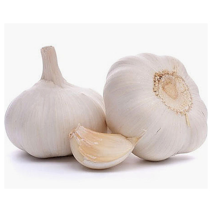 Garlic Softneck Seeds for Planting – High Yield, Non-GMO, Cold-Hardy Organic Garden Seeds | Neera Seeds product photo [neera-v4-90c2ed4612d81c16f6c1]