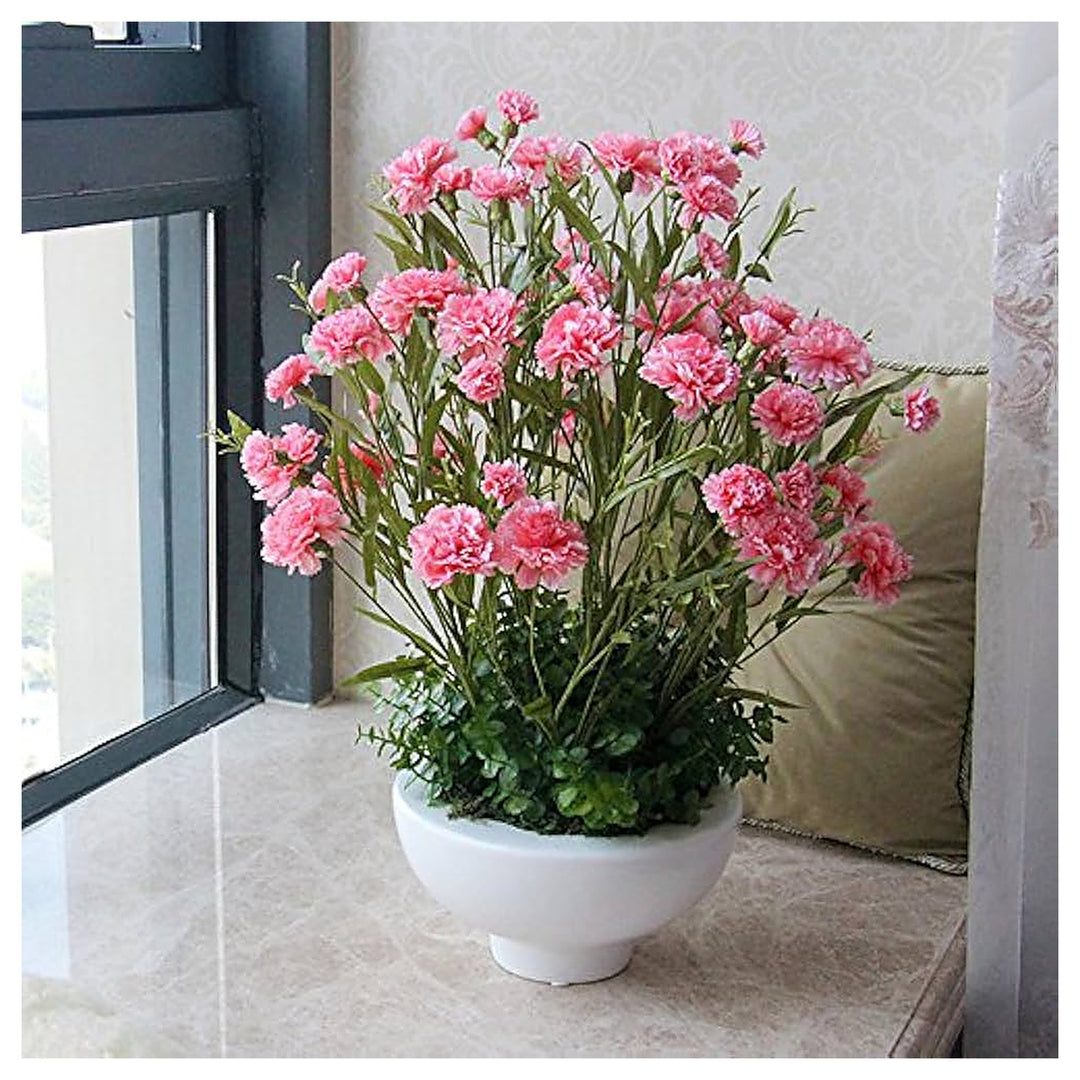 Pink Carnation Dianthus Caryophyllus Planting Flower Bed Yard Flower Seeds Home Garden | Neera Seeds product photo [neera-v4-91138e7112b4dafda189]