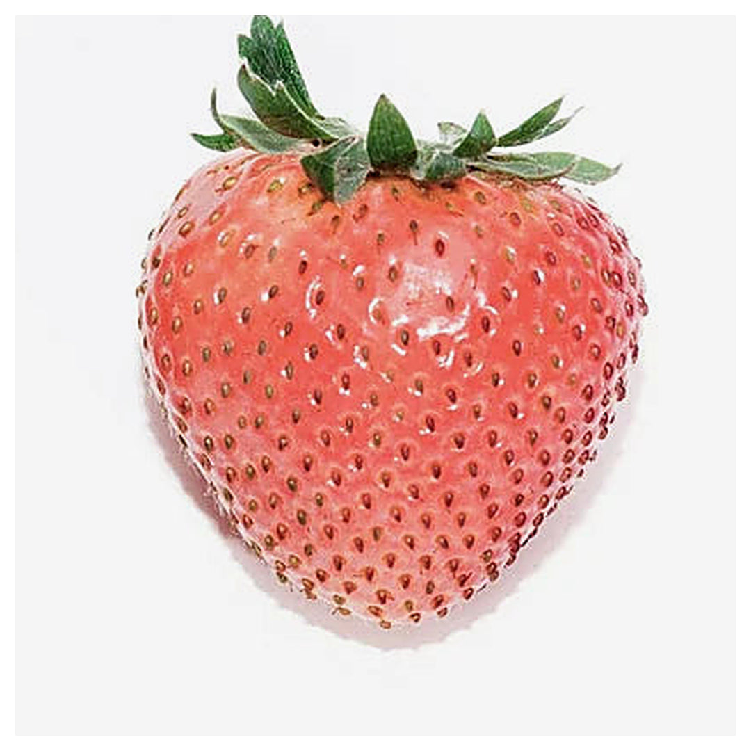 RosyPink Strawberry Fruit Seeds for Planting – Sweet, Delicious Strawberries, Heirloom & Non-GMO Seeds for Home Gar | Neera Seeds product photo [neera-v4-929787f3ffcd1de1f3e1]