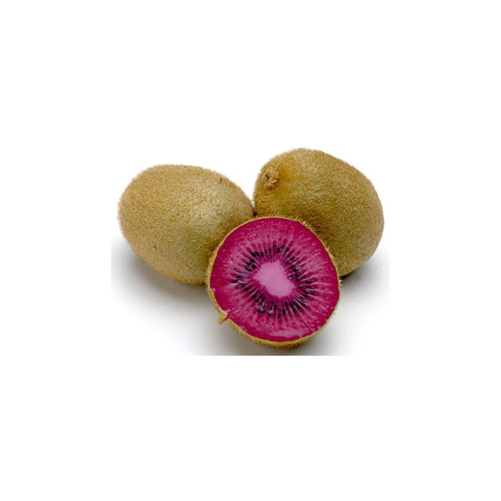 Pink Kiwi Fruit Seeds for Planting – Heirloom, Non-GMO, High Germination Organic Garden Seeds for Hardy, Self-Ferti | Neera Seeds product photo [neera-v4-939197021ff0184d1fc1]