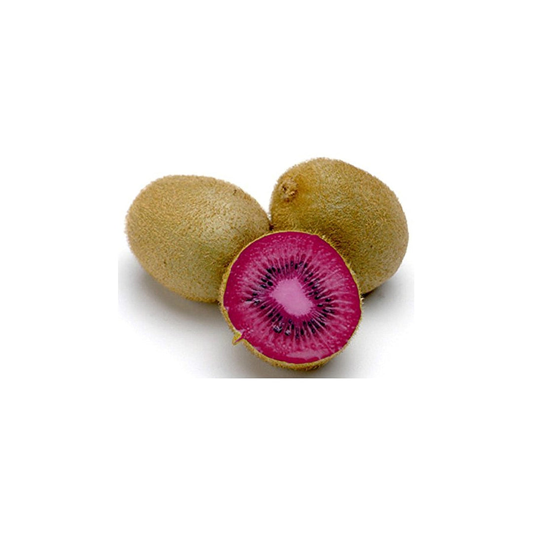 Pink Kiwi Fruit Seeds for Planting – Heirloom, Non-GMO, High Germination Organic Garden Seeds for Hardy, Self-Ferti | Neera Seeds product photo [neera-v4-939197021ff0184d1fc1]
