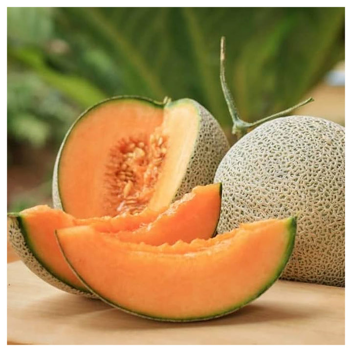Muskmelon Fruit Seeds for Planting – Sweet, Refreshing Melons, Heirloom &amp; Non-GMO Seeds for Home Garden | Neera Seeds product photo [neera-v4-94deffc7dfa916b35310]