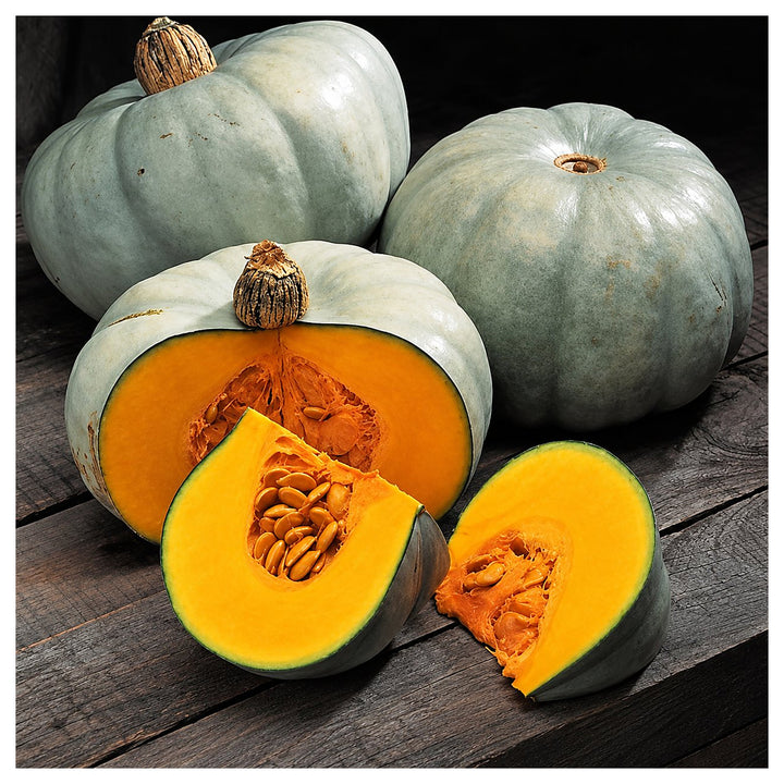 Centner Nelson Pumpkin Seeds for Planting – Heirloom, Non-GMO, High Germination, Organic Garden Seeds | Neera Seeds product photo [neera-v4-972f32549612d966a0fa]