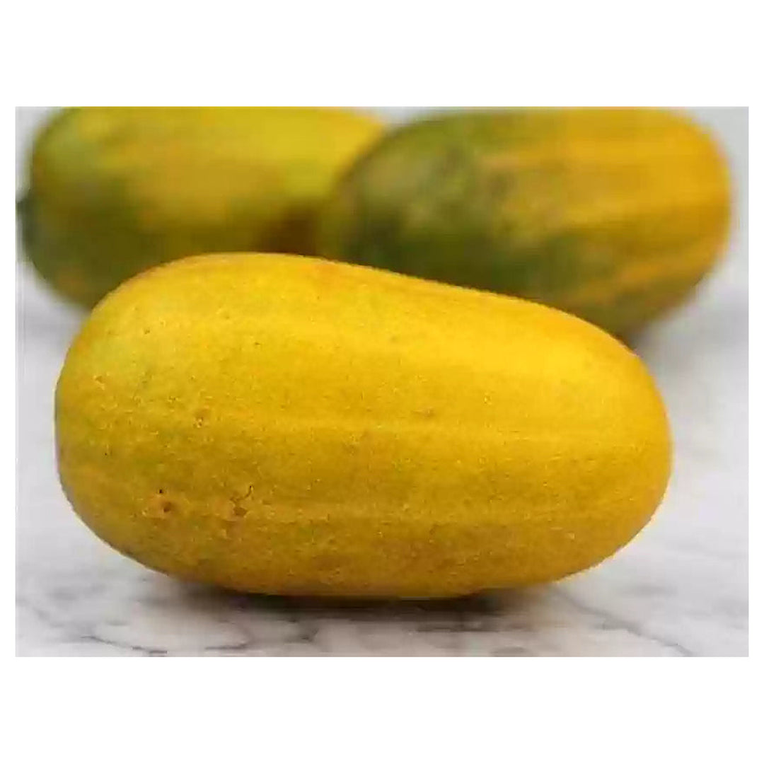 Heirloom Cucumber Grape Jelly Seeds for Planting – Non-GMO, High Germination, Organic Vegetable Garden Seeds | Neera Seeds product photo [neera-v4-98dd676c331800664def]