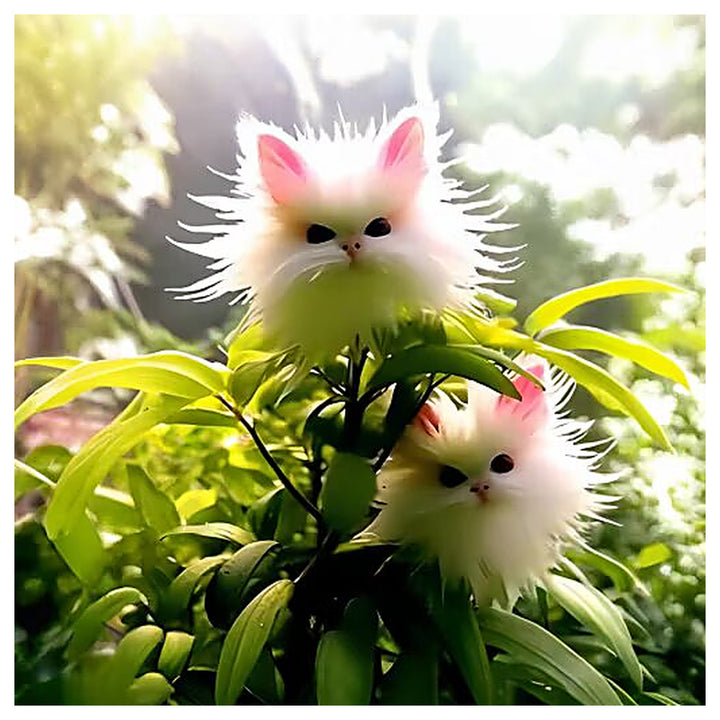 Amazing Plants! Cat&