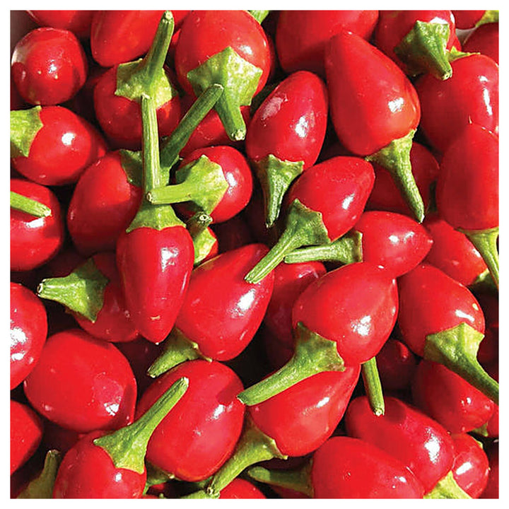 Chilitepin Pepper Seeds for Planting - Heirloom, Non-GMO, High Germination, Organic Garden Seeds | Neera Seeds product photo [neera-v4-9e1ca02733f2e61e5b20]