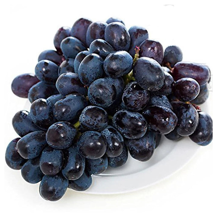 Actinidia Polygama Jaboticaba Black Brazilian Grape Fruit Seeds for Planting – Heirloom Non-GMO High Germination Se | Neera Seeds product photo [neera-v4-a1fa49c0509961495b54]