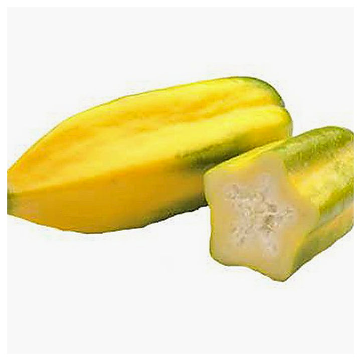 Babaco Papaya (Vasconcellea × heilbornii) Fruit Tree Seeds for Planting – Heirloom Non-GMO Organic Garden Seeds | Neera Seeds product photo [neera-v4-a331911343d5515d34fc]
