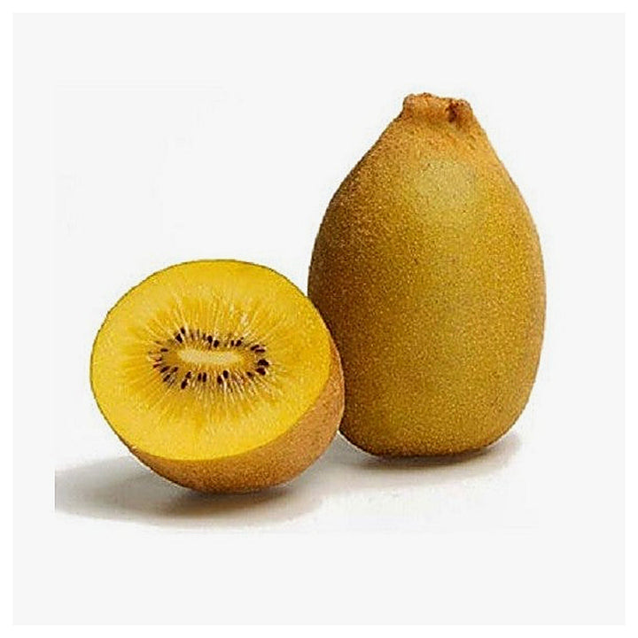 Golden Yellow Kiwi Fruit Seeds for Planting – Grow Sweet, Tangy Yellow Kiwis in Your Backyard, Heirloom &amp; Non-GMO | Neera Seeds product photo [neera-v4-a4fe13366f06ee6d1c02]