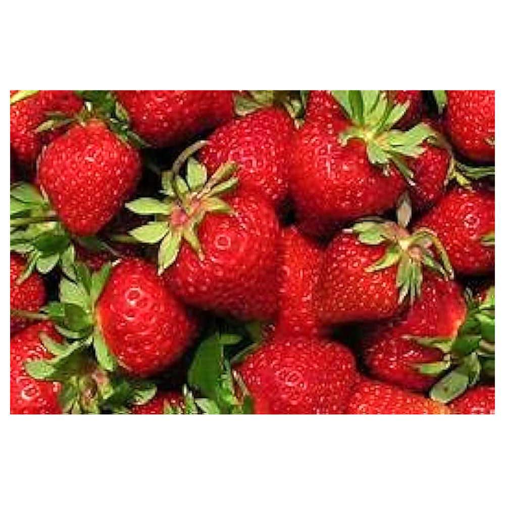 Japanese Hokowase Strawberry Fruit Seeds for Planting – Heirloom Non-GMO High Germination Organic Garden Seeds | Neera Seeds product photo [neera-v4-a6570e178eb2f5482d48]