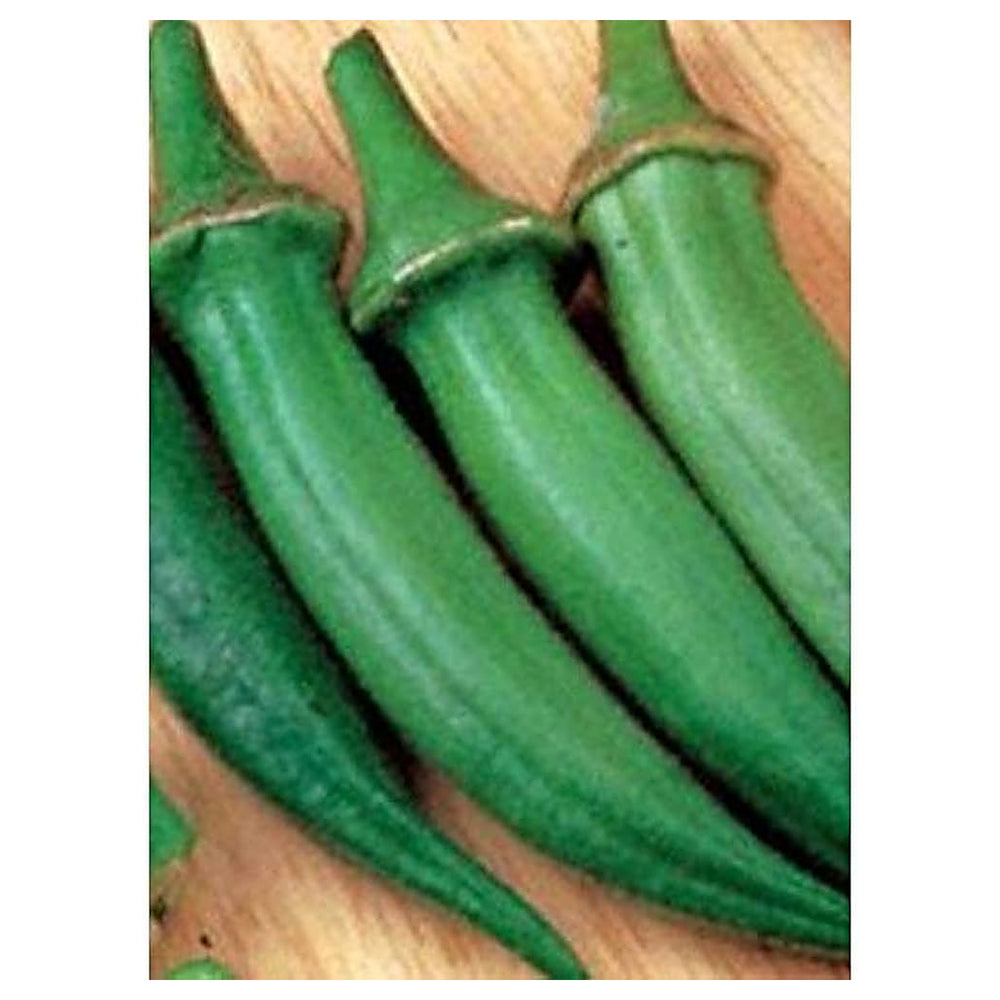 Cajun Delight Okra Seeds for Planting – Non-GMO, High-Yield Green Vegetable Seeds for Home Garden & Organic Growing | Neera Seeds product photo [neera-v4-a7c8804691d89af7cde7]
