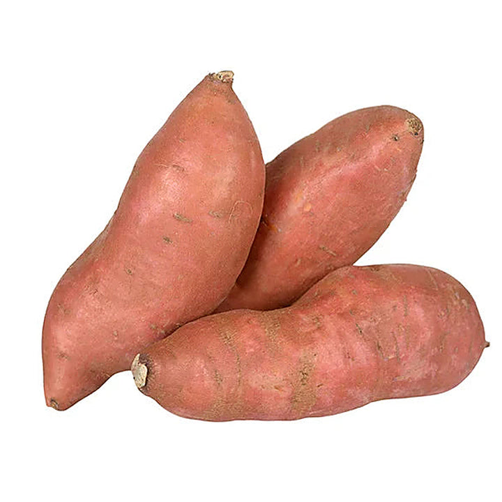 Giant Sweet Potato Vegetable Seeds for Planting - Heirloom Non-GMO Organic Garden Seeds, High-Yielding | Neera Seeds product photo [neera-v4-a9a716b26345c801e4ec]