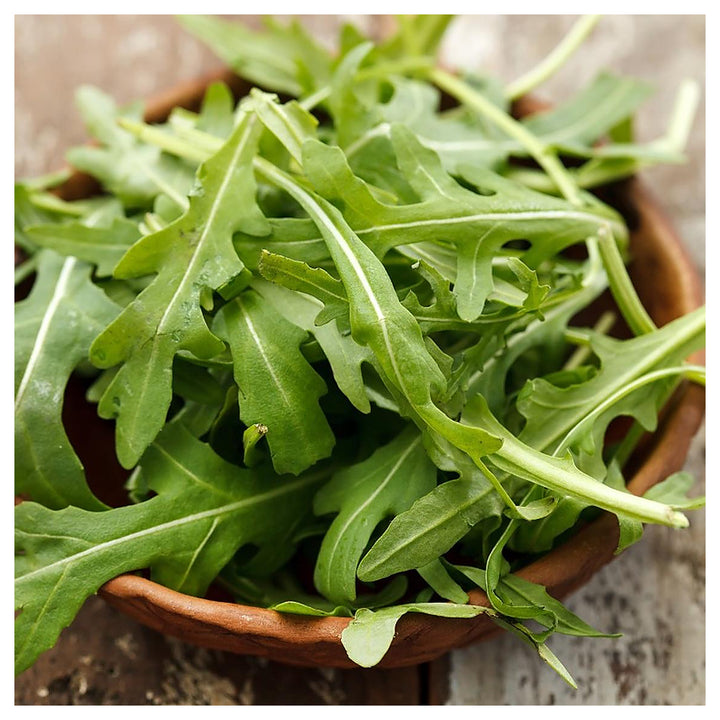 Arugula Rocket Seeds for Planting – Fast-Growing Heirloom Leafy Greens | Neera Seeds product photo [neera-v4-aa920dd917e1ed413382]