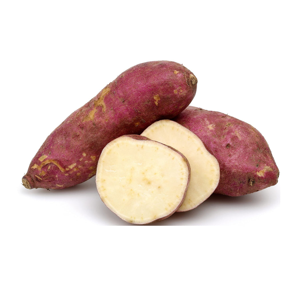 Sweet Potato Seeds for Planting – Heirloom, Non-GMO, High Germination, Organic Garden Seeds | Neera Seeds product photo [neera-v4-aaa9116e43af49f2a549]