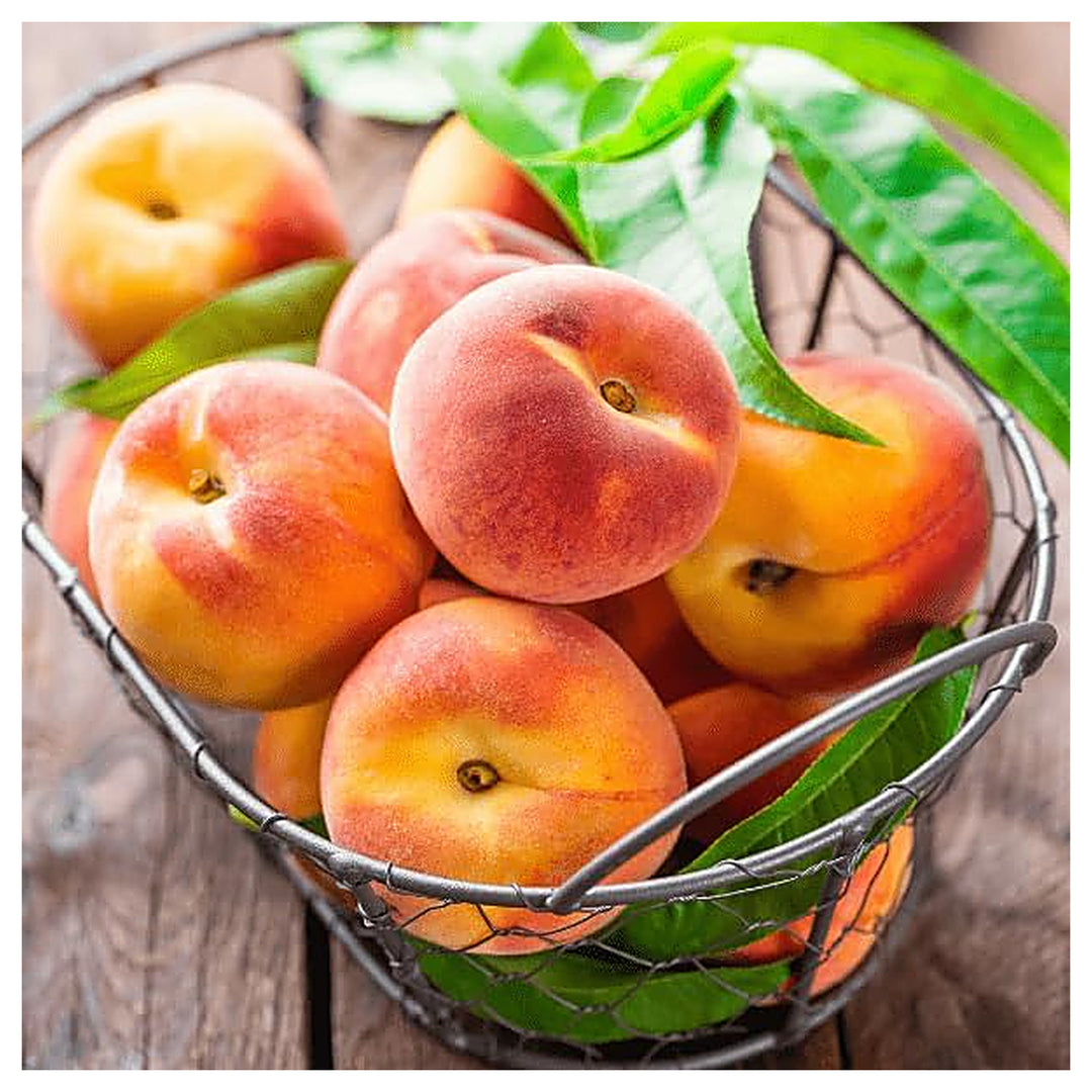 Nemaguard Peach Fruit Tree Seeds for Planting – Non-GMO Heirloom High Germination Organic Garden Seeds | Neera Seeds product photo [neera-v4-ae0d90496f63c5795541]