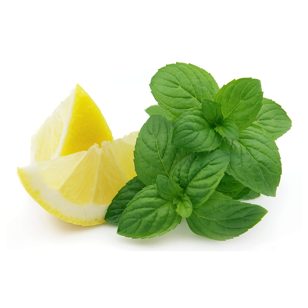 Green Lemon Mint Plant Seeds – Citrus Mint Seeds – Heirloom &amp; Non-GMO Seeds for Planting | Neera Seeds product photo [neera-v4-b0bb8cfbc1f5388d753a]