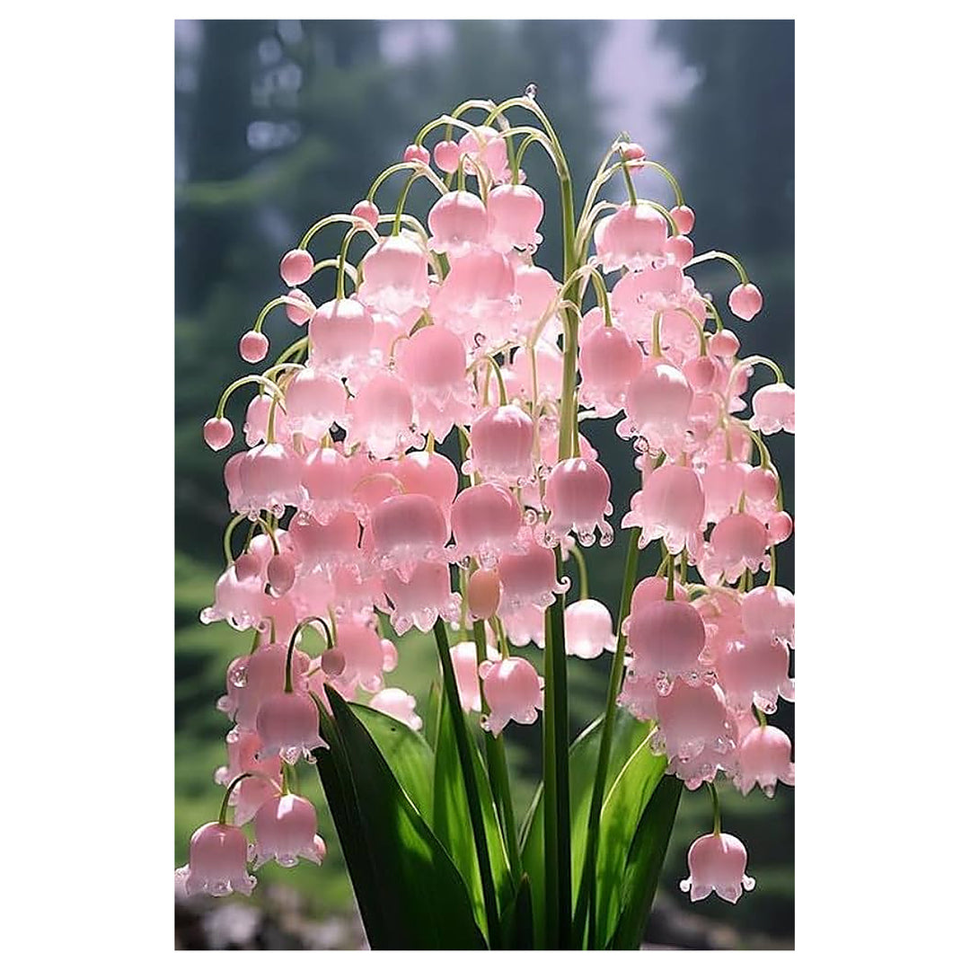Baby Pink Lily of the Valley Flower Seeds for Planting – Heirloom Non-GMO High Germination Organic Garden Seeds | Neera Seeds product photo [neera-v4-b0c0189bd7aab57e3299]