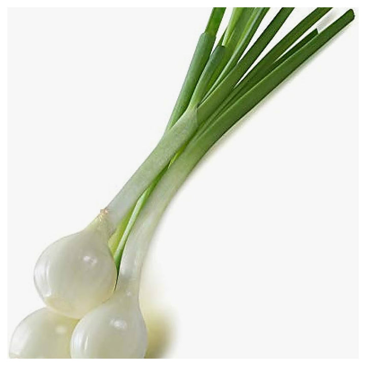 White White Heirloom Crystal Wax Onion Bermuda Cocktail Onions Flower Seeds Home Garden | Neera Seeds product photo [neera-v4-b182c809b3cf220326cb]