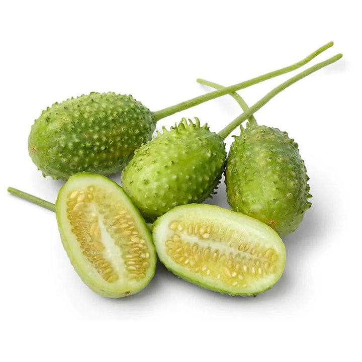Wild West Indian Gherkin Cucumber Seeds for Planting – Heirloom, Non-GMO, Organic Garden Seeds, High Germination | Neera Seeds product photo [neera-v4-b2f424aa0726ce9fe655]