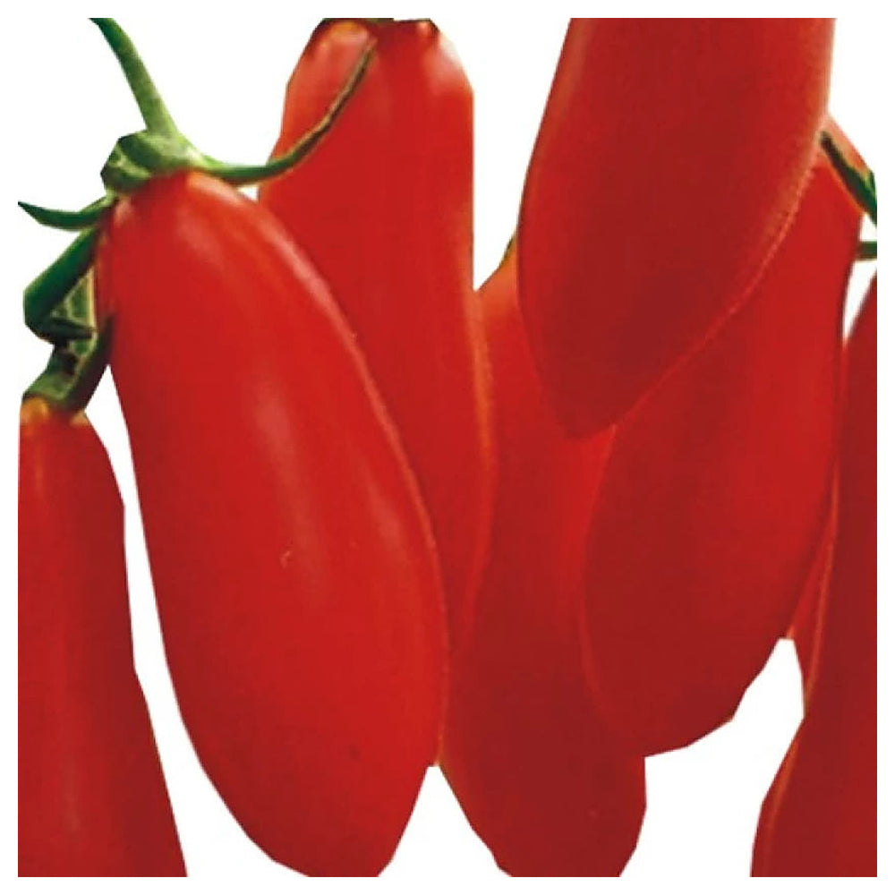 Red Banana Tomato Seeds for Planting – Heirloom, Non-GMO, Organic Garden Seeds, High Germination | Neera Seeds product photo [neera-v4-b42949404a3c5a6050ad]