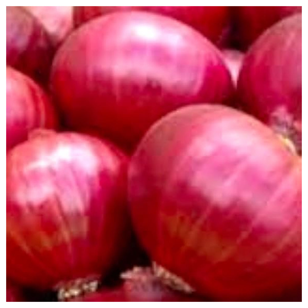 Onion Red Creole Seeds – Heirloom, Fast-Growing, High-Yielding Red Onion Variety | Neera Seeds product photo [neera-v4-b4951846e42cdfbc8f21]