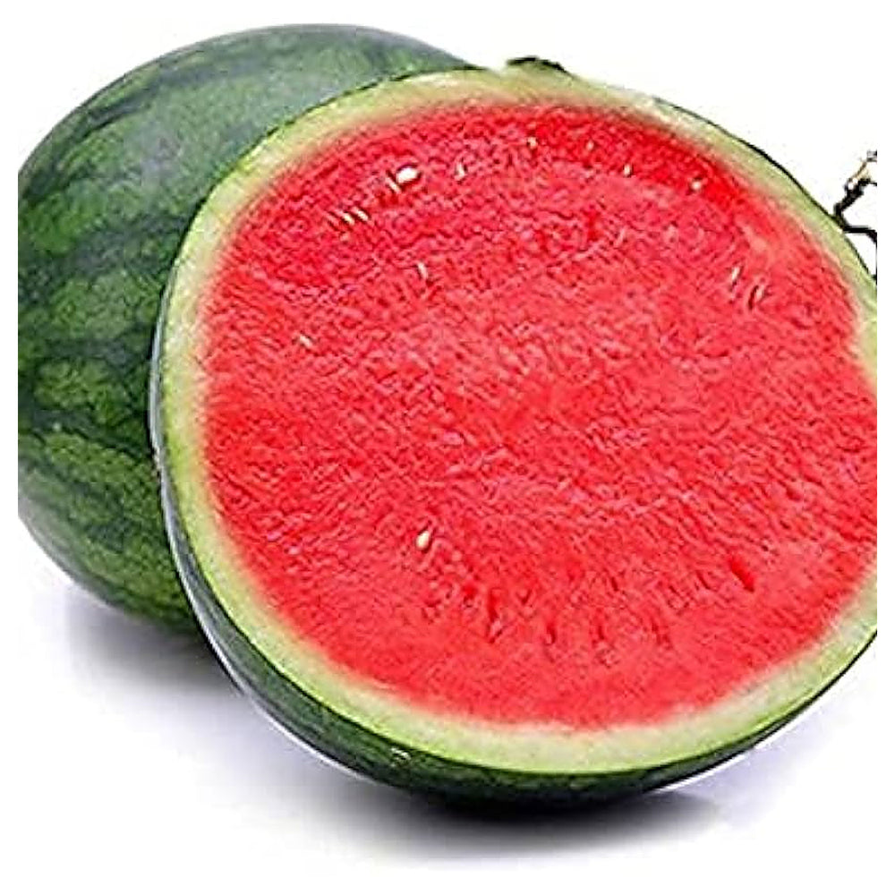 Red Watermelon Fruit Seeds for Planting – Sweet, Refreshing Watermelons, Heirloom & Non-GMO Seeds for Garden | Neera Seeds product photo [neera-v4-b6410bff08aa668e02af]
