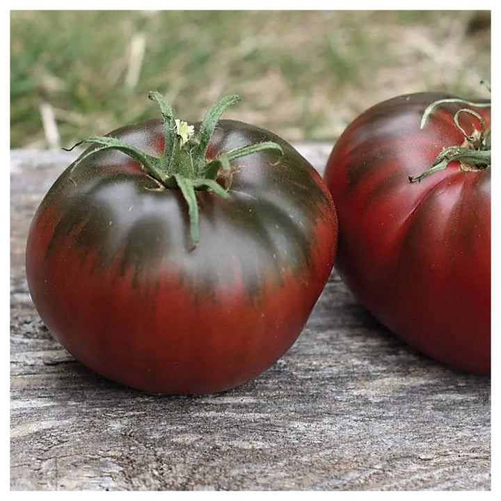 Paul Robeson Tomato Seeds for Planting – Heirloom, Non-GMO, High Germination Organic Garden Seeds | Neera Seeds product photo [neera-v4-b689b5ba36c1b1cfeda3]