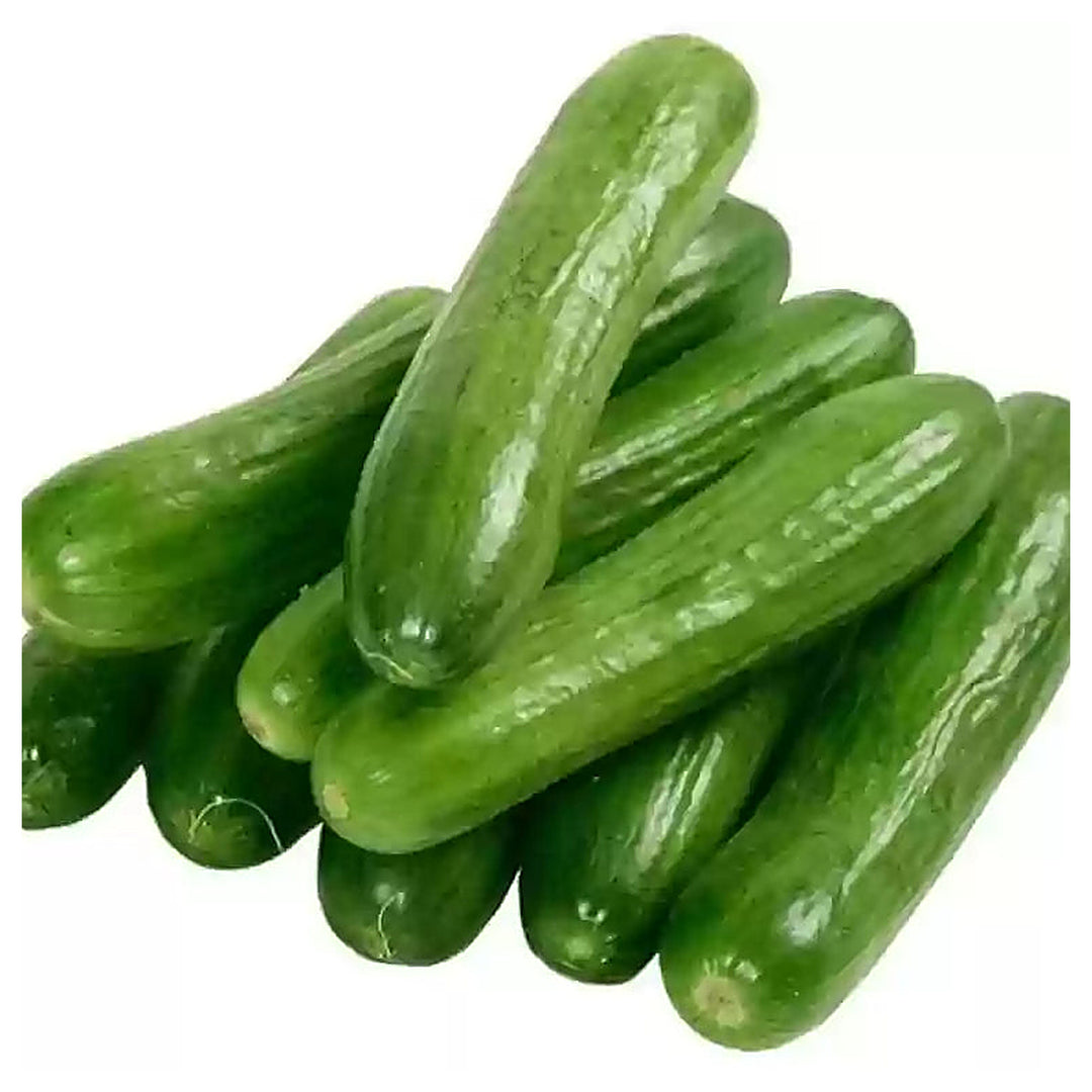 Arola Organic Cucumber Seeds for Planting – Heirloom, Non-GMO, High Germination Vegetable Garden Seeds | Neera Seeds product photo [neera-v4-b73f216efacee7967f24]