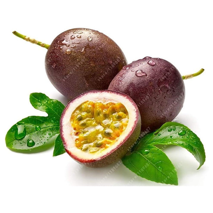 Fresh Passion Fruit Seeds for Planting – Red Variety, High-Yield, Heirloom, High Germination, Non-GMO Organic Garde | Neera Seeds product photo [neera-v4-b8ae0fb08a52cbba71f2]