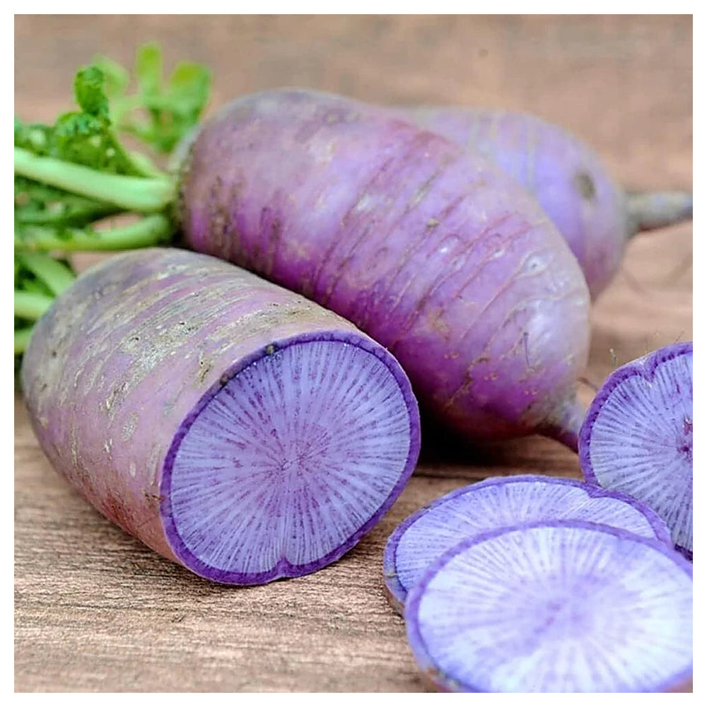 Heirloom Bluemoon Radish Vegetable Seeds for Planting – Non-GMO, High Germination Organic Garden Seeds | Neera Seeds product photo [neera-v4-ba3865a998790d504c61]